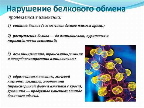 Последствия нарушения белкового обмена