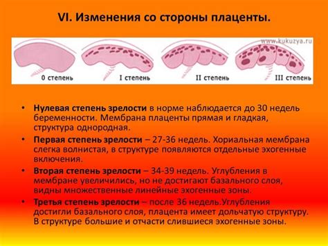 Последствия плаценты первой степени зрелости