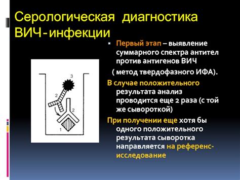 Последствия положительного спектра антител