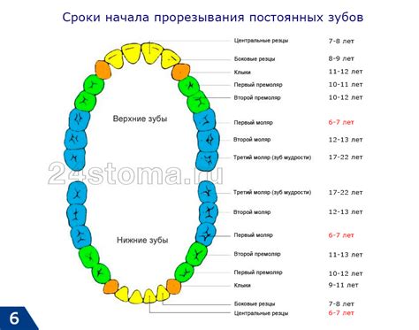 Последствия смены зубов щукой