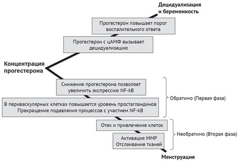 Последствия снижения уровня прогестерона