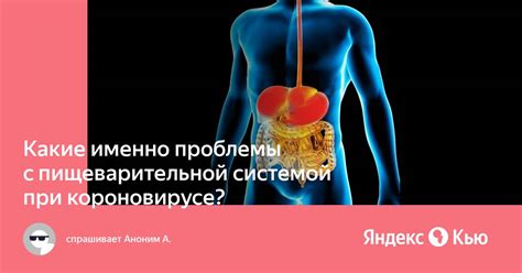 Последствия тощести: ослабленный иммунитет, проблемы с пищеварительной системой и энергетический дефицит