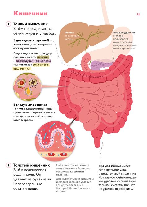 Последствия увеличенных кишечников