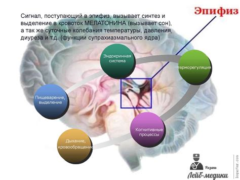 Последствия хронического недосыпания на нервную систему