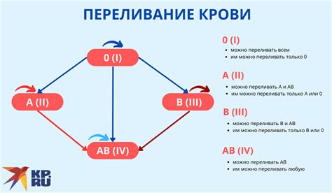 После сна о болезни, которая затрагивает кровь: какие действия следует предпринять?