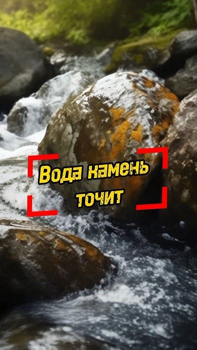 Пословица "Вода ключом бьет": основной смысл