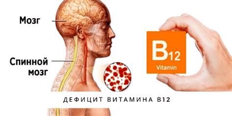 Постепенное увеличение дефицита витамина В12