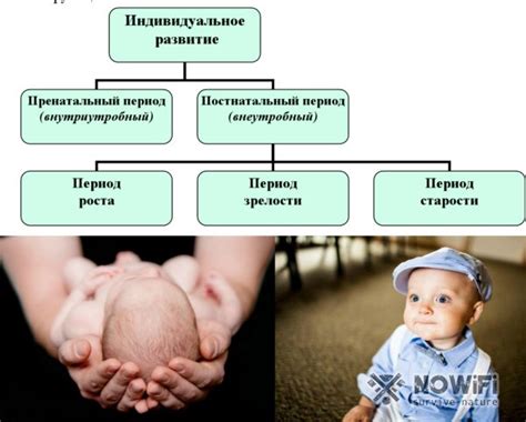 Постнатальный период: что это такое и как он влияет на женщину?