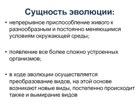 Постоянно изменяемая сущность