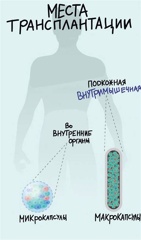 Потенциальные применения исследований клеток-ключей