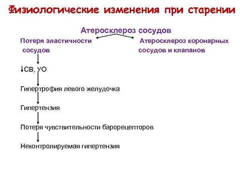 Потеря эластичности сосудов и атеросклероз