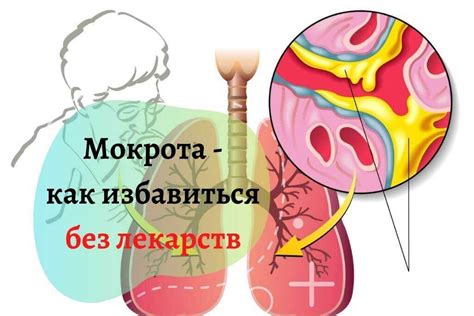 Потревоженное состояние: причины мокроты в области ушей