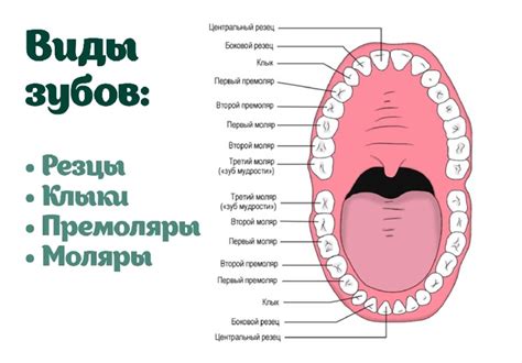 Потрепетали зубы, несмотря на тепло в комнате: факторы, вызывающие ощущение холода