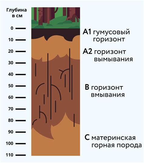 Почвенные характеристики