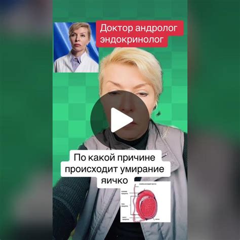 Почему "Сеанс завершен" может произойти?