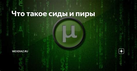 Почему "сидер замечен" важно для торрент-загрузки?