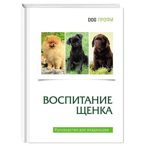 Почему НБТ важно для щенков: руководство для начинающих