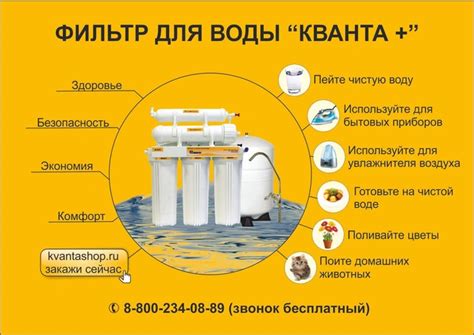 Почему аквариумная вода имеет неприятный запах и как избавиться от этой проблемы