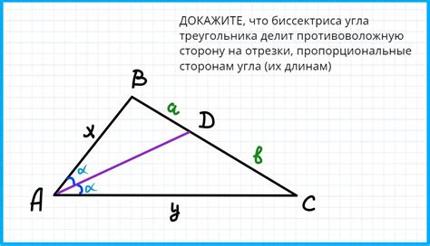 Почему биссектриса важна