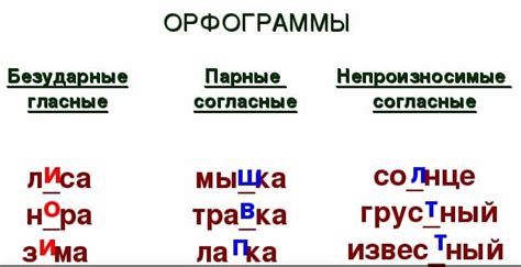 Почему важно выделять орфограммы