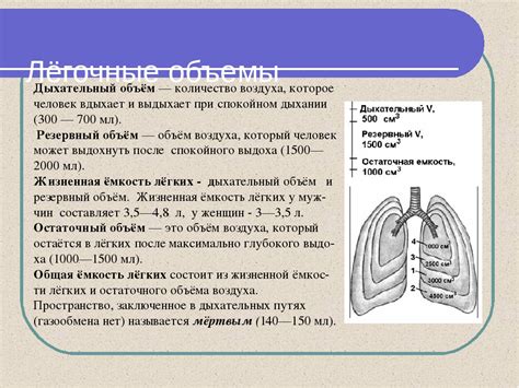 Почему важно сохранять объем легких?