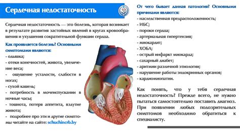 Почему возникает выход жидкости из груди: анализ причин и практические рекомендации