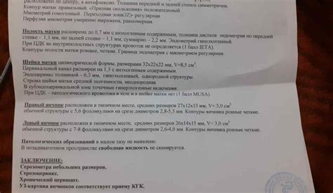 Почему возникает небольшое количество жидкости в малом тазу?