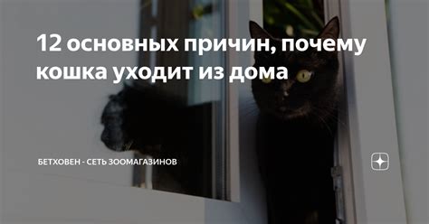 Почему кошка уходит?