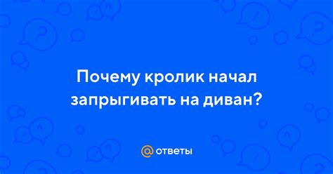 Почему кролик начал писать и как с этим справиться