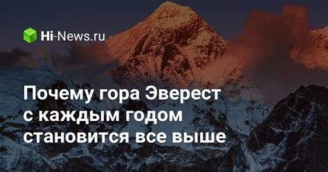 Почему курседов становится все больше?