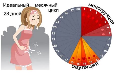 Почему месячные идут мало крови?