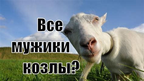 Почему мужчину называют козлом?