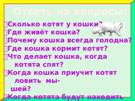 Почему находить котят имеет большую ценность и значимость?