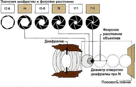 Почему нет диафрагмы на фотографиях?