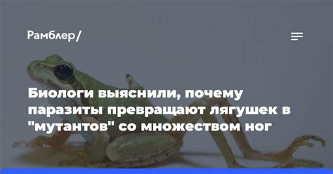 Почему присутствие лягушек в снах может символизировать перспективы и развитие