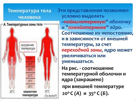 Почему происходит падение температуры тела человека?