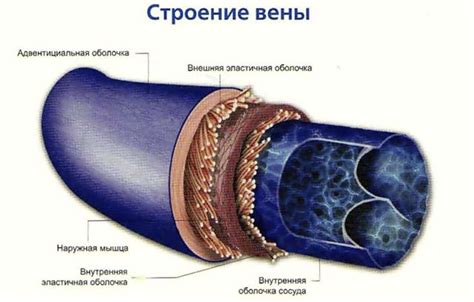 Почему развивается поддувка вена