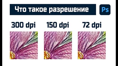 Почему разрешение в 300 dpi считается стандартом