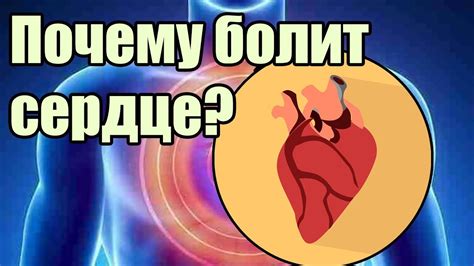 Почему сердце полноценно?