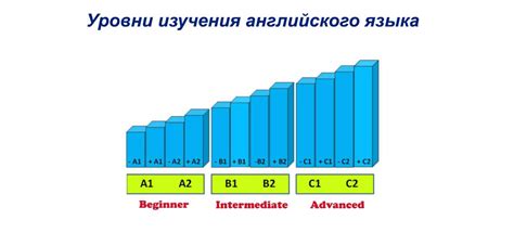 Почему словарь необходим для изучения языка