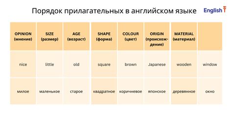 Почему слово "turtle" пользуется такой популярностью в английском языке?