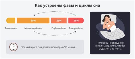 Почему сон "как тетеря" способствует восстановлению?