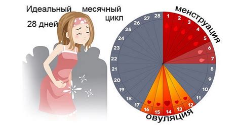 Почему у женщин месячные идут кусками, как печень?