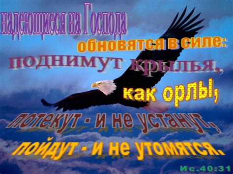 Почему юность обновляется