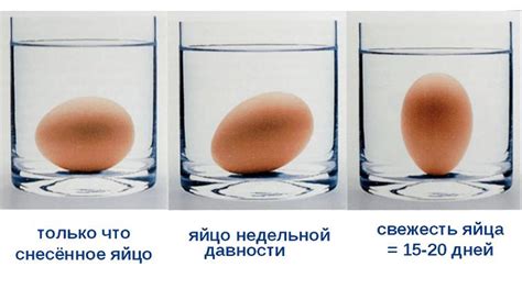 Почему яйца при варке стоят вертикально