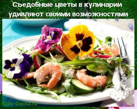 Появление выражения в кулинарии