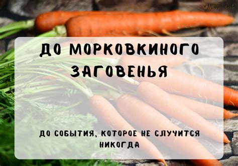 Появление морковкиного заговенья в культуре