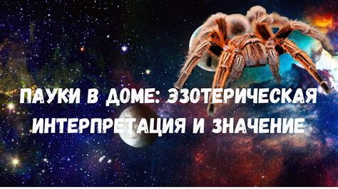 Появление пауков в доме: глубинный смысл и разнообразие символических толкований