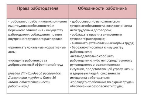 Права и обязанности в сфере труда