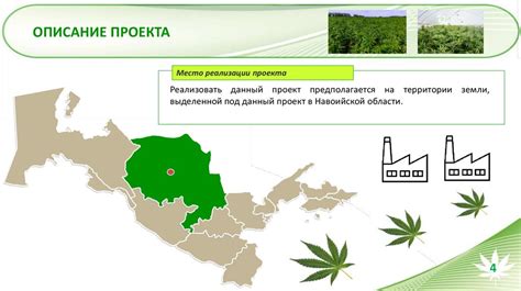 Правила выращивания и производства